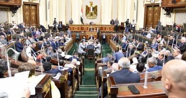 رئيس حقوق الإنسان بمجلس النواب: "30 يونيو" ثورة شعب على نظام فاشي