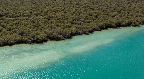 «البيئة أبوظبي» و«أدنوك» تتعاونان لتعزيز جهود الحفاظ على البيئة في المناطق الساحلية