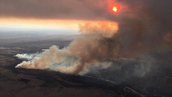 حرائق الغابات تتضاعف خلال عشرين عاماً جراء الاحترار العالمي