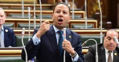 نائب برلمانى: ثورة 30 يونيو ستظل رمزا حيا لقوة الإرادة الشعبية المصرية