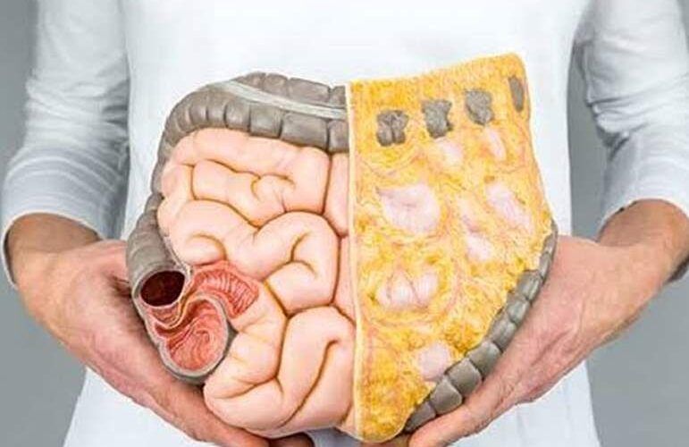 تغنيك عن زيارة الطبيب.. عشبة متوفرة تطرد غازات وفضلات القولون وتعالج البواسير بلمح البصر.. وداعاً للإنتفاخ وعسر الهضم