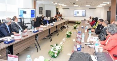 "معلومات الوزراء" يناقش فى ورشة عمل مستقبل قطاعى الطاقة والتعدين