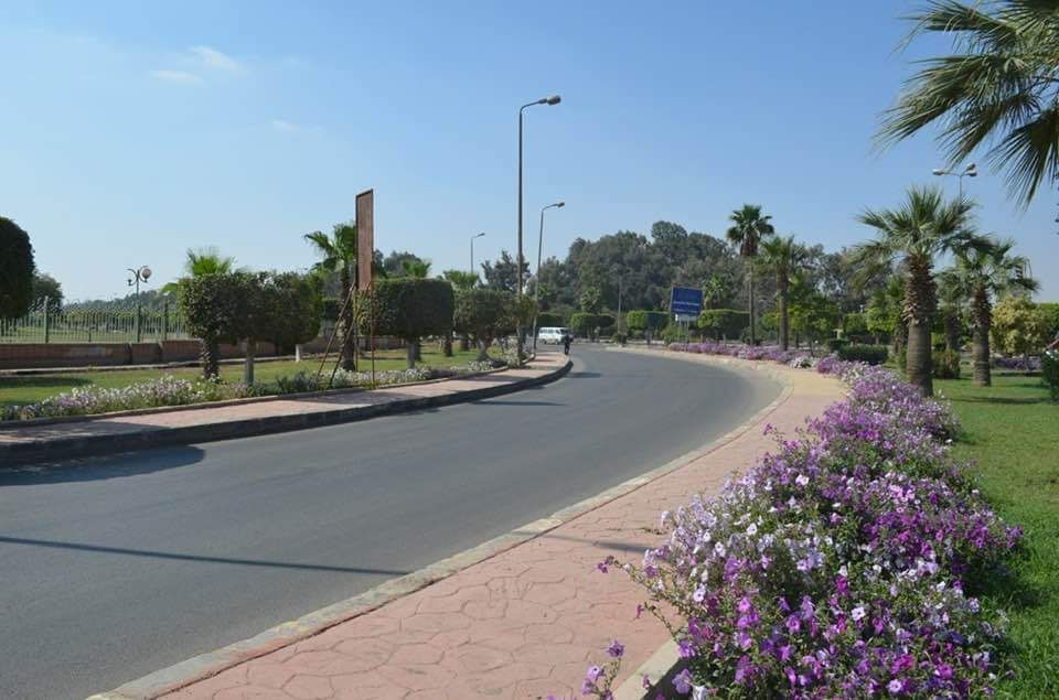 جهاز تنمية مدينة العاشر من رمضان: قريبا زراعة الأشجار فى المنطقة الصناعية الثقيلة.. صور