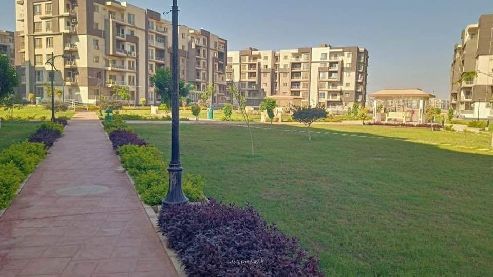 جهاز تنمية مدينة العاشر من رمضان: قريبا زراعة الأشجار فى المنطقة الصناعية الثقيلة.. صور