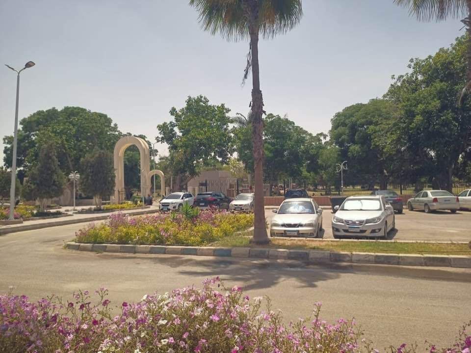 جهاز تنمية مدينة العاشر من رمضان: قريبا زراعة الأشجار فى المنطقة الصناعية الثقيلة.. صور