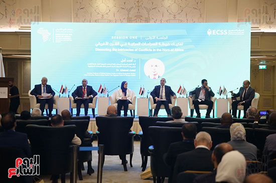 أستاذة علوم سياسية: الصراع الدولي له انعكاس على القرن الأفريقي