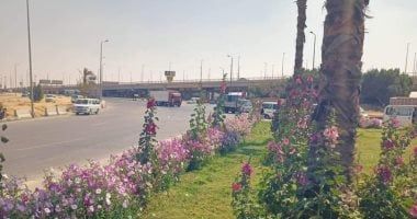 جهاز تنمية مدينة العاشر من رمضان: قريبا زراعة الأشجار فى المنطقة الصناعية الثقيلة.. صور