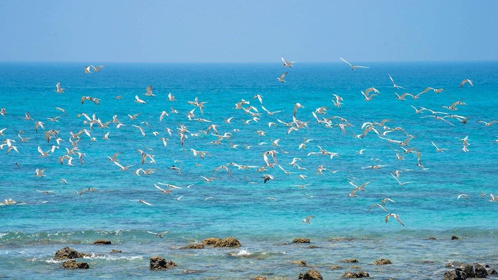 تطوير محميتي الوثبة للأراضي الرطبة والكثبان الأحفورية