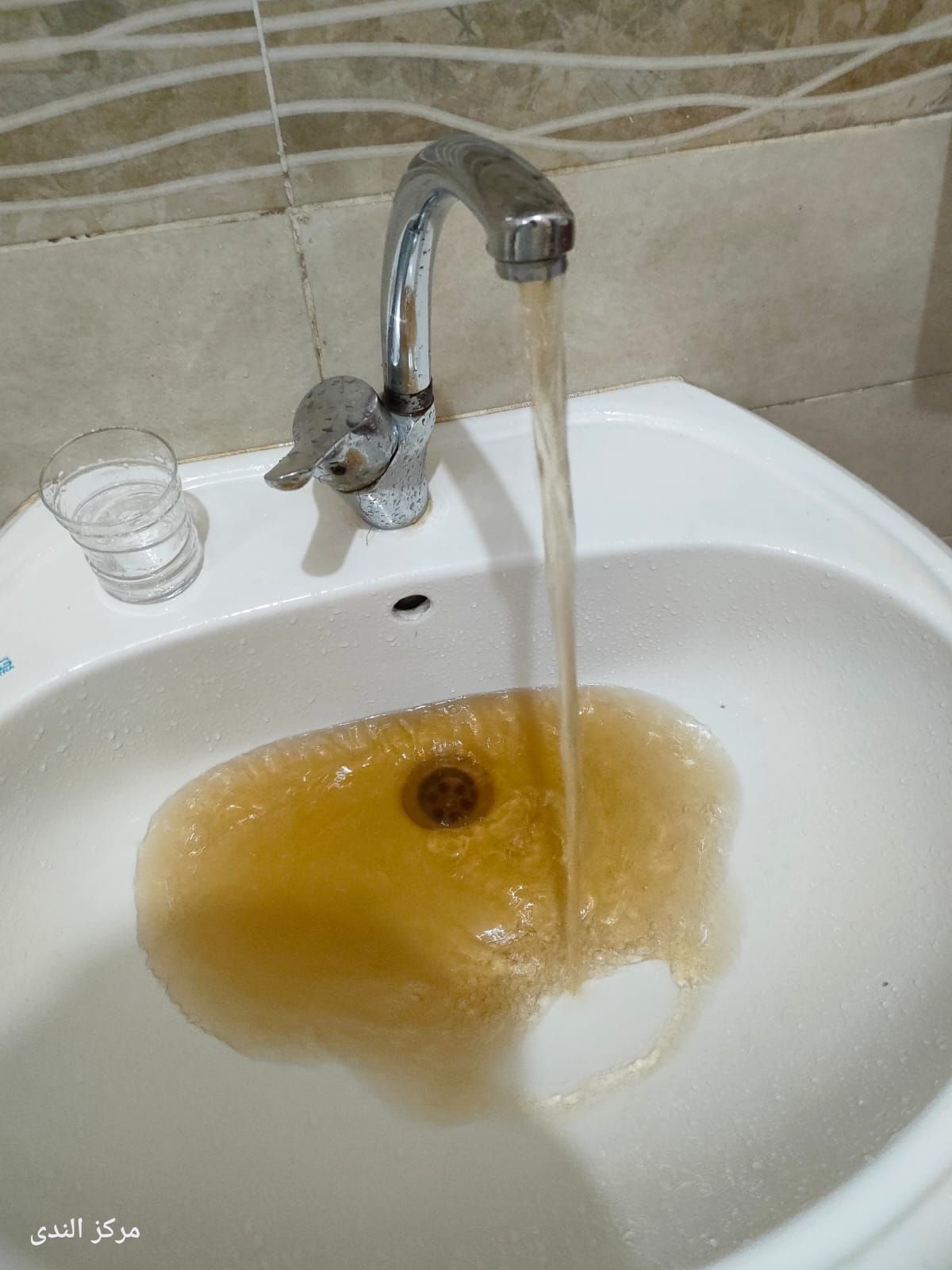 أهالى قرية كفر عليم بالقليوبية يشتكون عكارة مياه الشرب.. والشركة تشكل لجنة