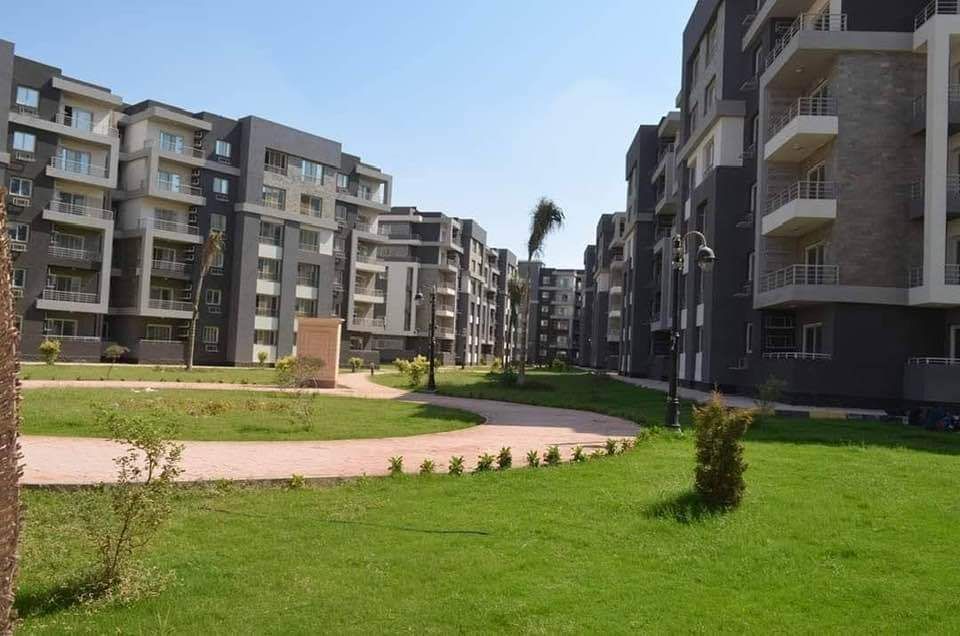 جهاز تنمية مدينة العاشر من رمضان: قريبا زراعة الأشجار فى المنطقة الصناعية الثقيلة.. صور