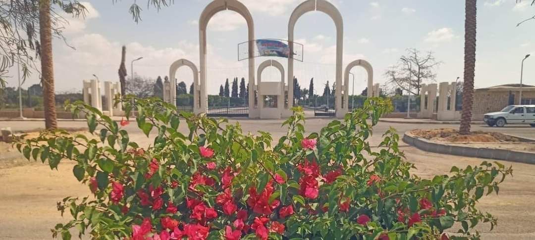 جهاز تنمية مدينة العاشر من رمضان: قريبا زراعة الأشجار فى المنطقة الصناعية الثقيلة.. صور