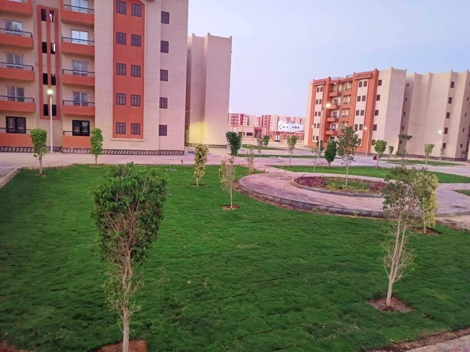 جهاز تنمية مدينة العاشر من رمضان: قريبا زراعة الأشجار فى المنطقة الصناعية الثقيلة.. صور