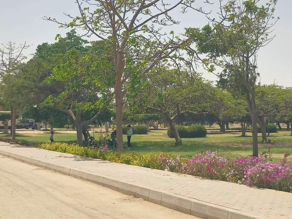 جهاز تنمية مدينة العاشر من رمضان: قريبا زراعة الأشجار فى المنطقة الصناعية الثقيلة.. صور