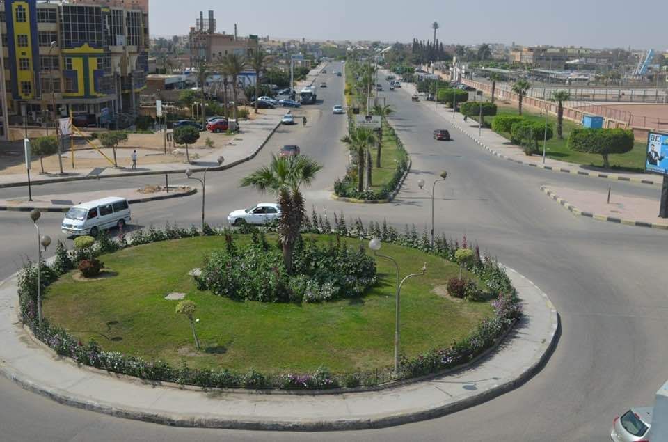 جهاز تنمية مدينة العاشر من رمضان: قريبا زراعة الأشجار فى المنطقة الصناعية الثقيلة.. صور