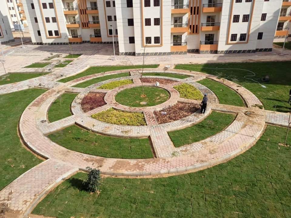 جهاز تنمية مدينة العاشر من رمضان: قريبا زراعة الأشجار فى المنطقة الصناعية الثقيلة.. صور