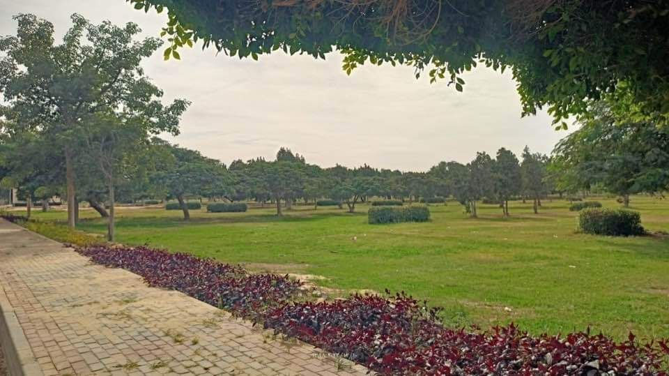 جهاز تنمية مدينة العاشر من رمضان: قريبا زراعة الأشجار فى المنطقة الصناعية الثقيلة.. صور