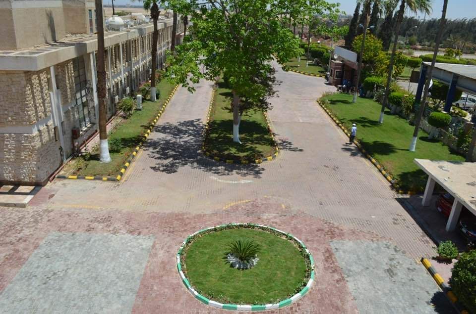 جهاز تنمية مدينة العاشر من رمضان: قريبا زراعة الأشجار فى المنطقة الصناعية الثقيلة.. صور