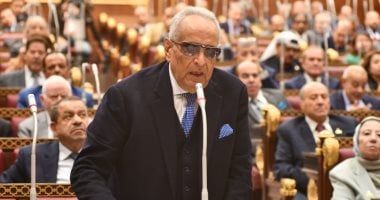 وكيل مجلس الشيوخ: 30 يونيو أول طوبة فى بنيان الجمهورية الجديدة