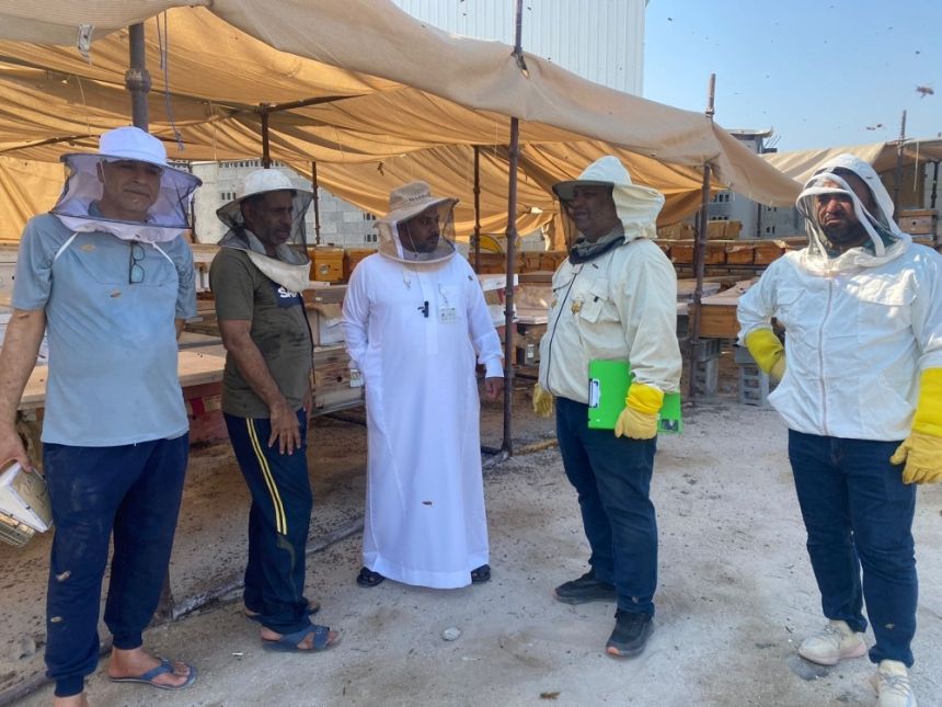 إنتاج مبشر.. جولات رقابية مكثفة على مناحل عسل المانجروف في الساحل الشرقي