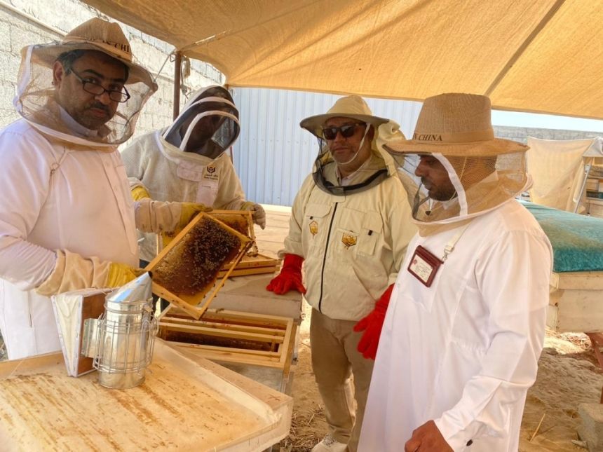 إنتاج مبشر.. جولات رقابية مكثفة على مناحل عسل المانجروف في الساحل الشرقي