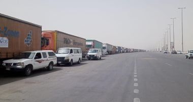 وصول طائرة مساعدات تونسية إلى مصر محملة بـ14 طن أغذية موجهة إلى غزة