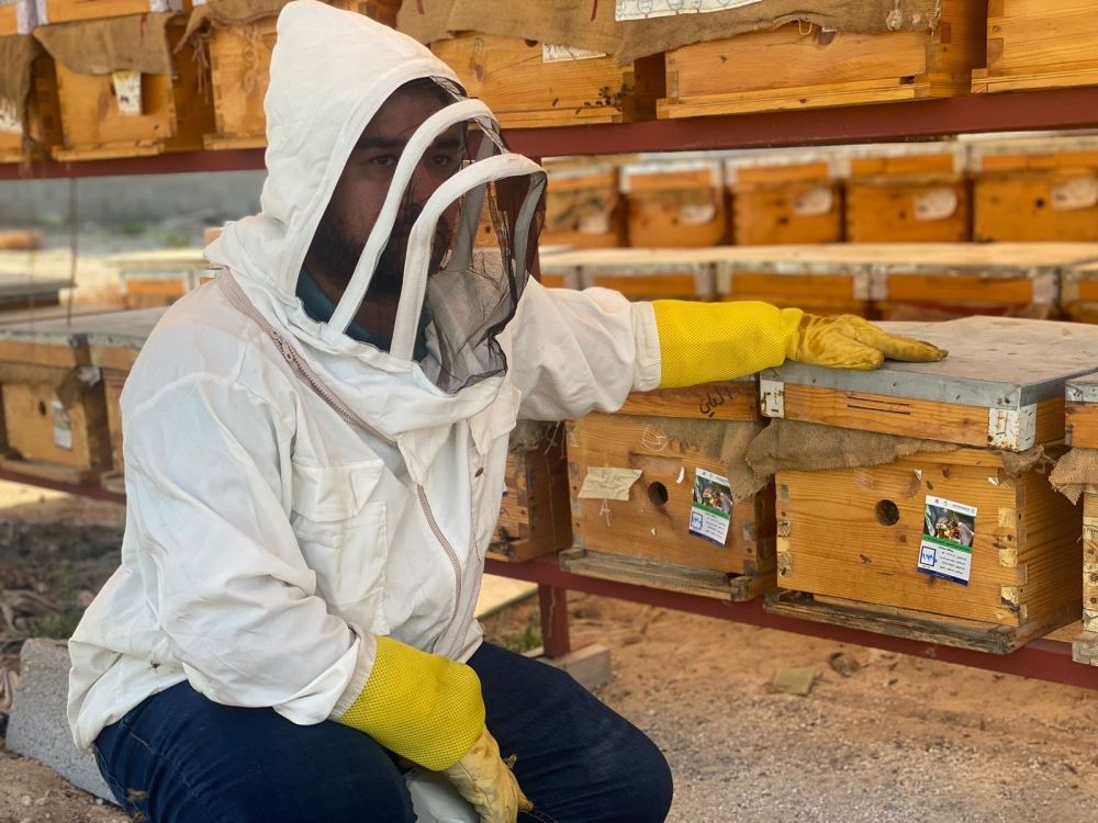 إنتاج مبشر.. جولات رقابية مكثفة على مناحل عسل المانجروف في الساحل الشرقي