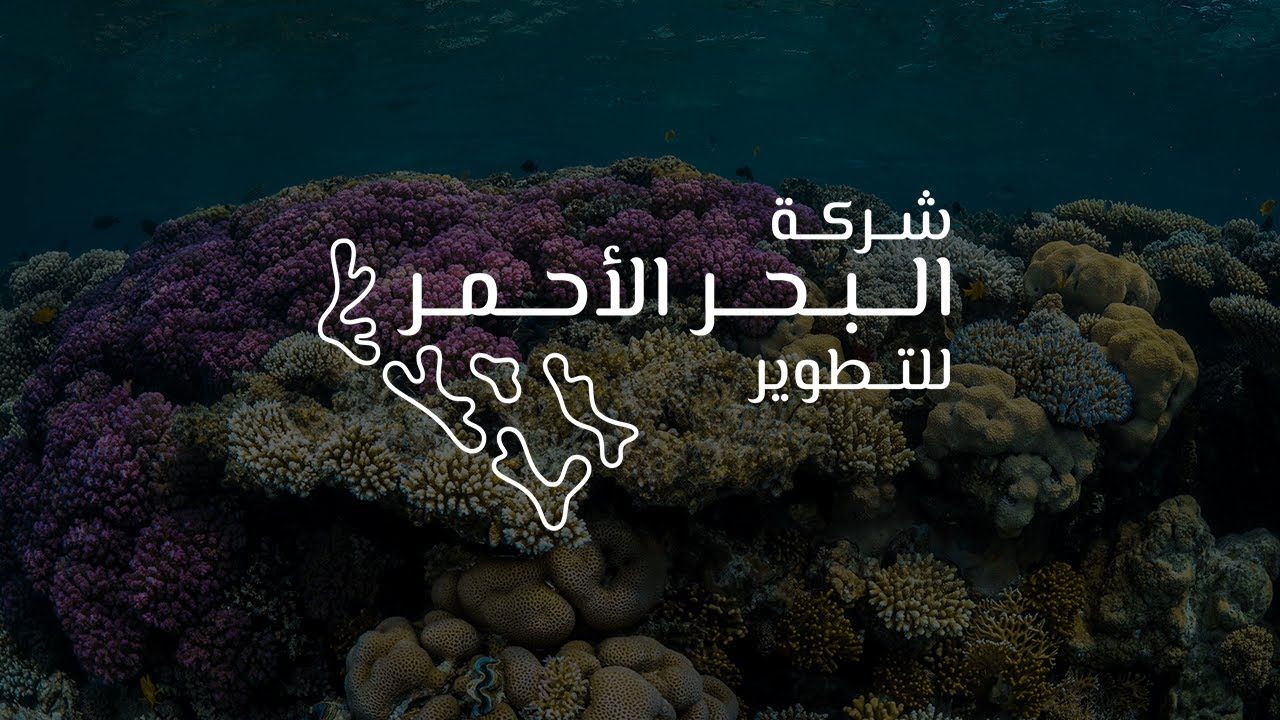 وظائف شاغرة بشركة البحر الأحمر للتطوير