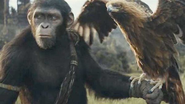 Kingdom of the Planet of the Apes يحصد أرقام قياسية بالسينمات المصرية