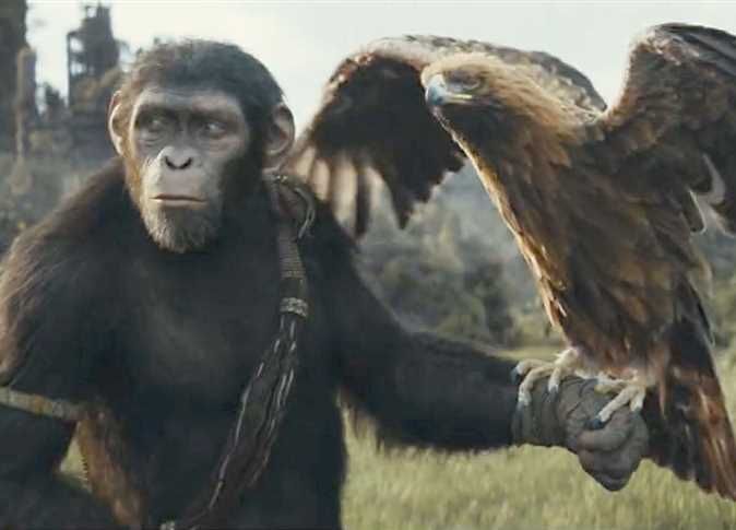 Kingdom of the Planet of the Apes يحصد أرقام قياسية بالسينمات المصرية