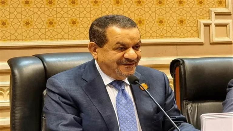 رئيس "زراعة الشيوخ": زيادة الرقعة الزراعية في عهد السيسي إلى 9.8 مليون فدان -تفاصيل