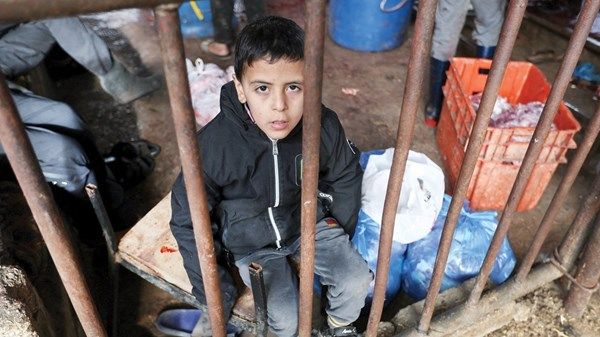 توثيق 10 آلاف حالة إعاقة في غزة نصفها من الأطفال