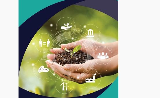 "تريندز" يصدر دراسة جديدة باللغة التركية حول مكافحة الفقر وحماية البيئة