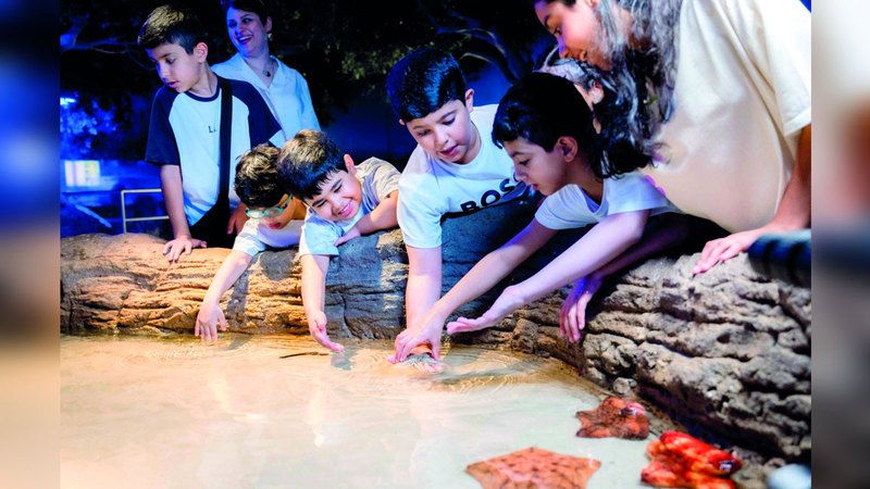 الامارات | «إجازة سعيدة».. متعة واستفادة بين جنبات 6 متاحف