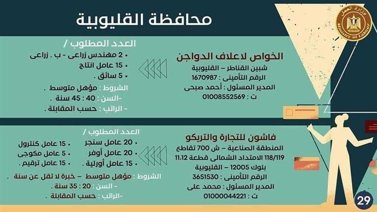 القوى العاملة بالقليوبية تعلن عن 185 فرصة عمل