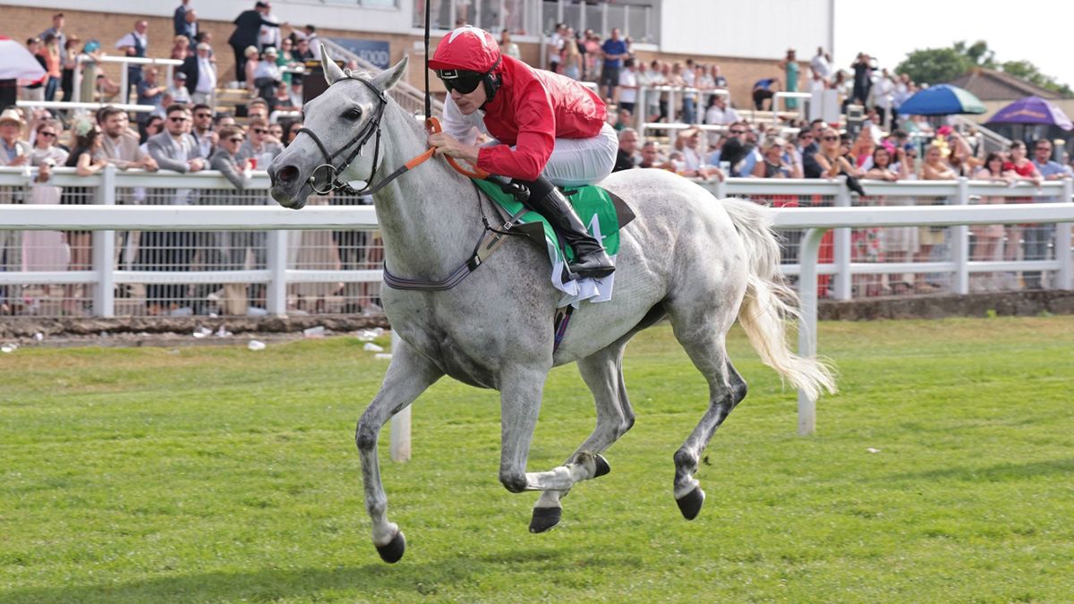 الامارات | رياضة محلية في صور