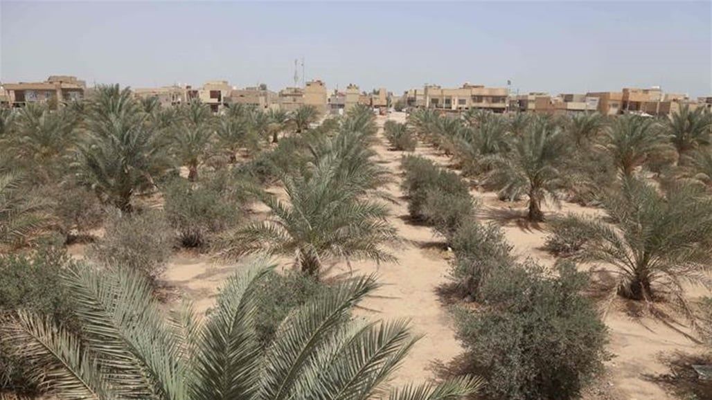 توجيه برلماني بتشكيل لجنة تحقيقية في عقود الأراضي الزراعية "الفاسدة"