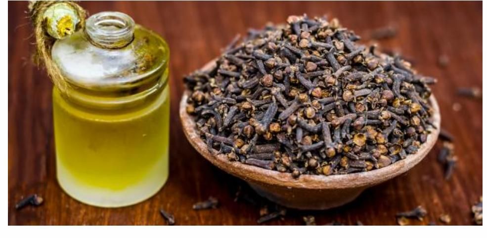 معجزة اقسم بالله .. ضعى زيت الزيتون على القرنفل واستخدميه بهذه الطريقة قبل النوم.. جوزك هيتجنن من حلاوتك