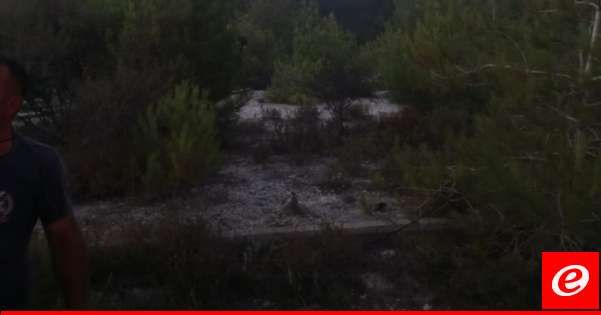 الدفاع المدني: إخماد حريق مساحة شاسعة من الأعشاب والأشجار جراء قصف إسرائيلي على الظهيرة