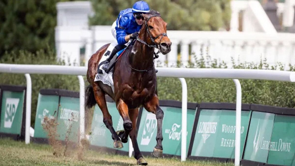 الامارات | رياضة محلية في صور