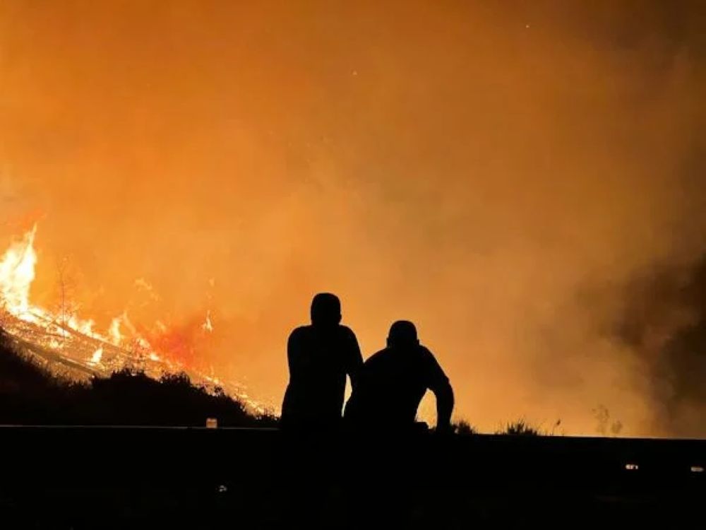 مطالب بتوفير التمويل اللازم لمنع حرائق الغابات في بريطانيا