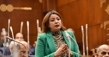 برلمانية: إدارة الأزمات باحترافية أهم تحديات الحكومة الجديدة