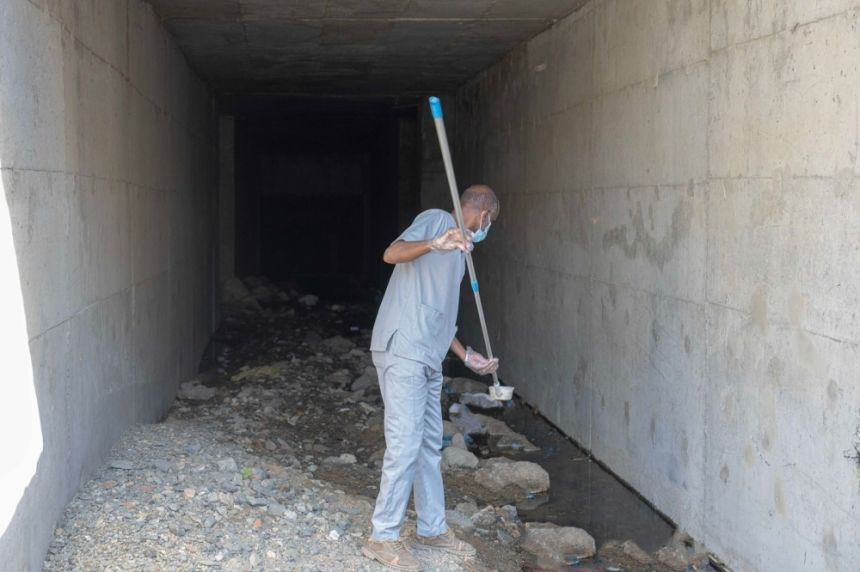 مكافحة آفات الصحة العامة واحتواء البؤر الحشريّة في 340 موقعًا بالطائف