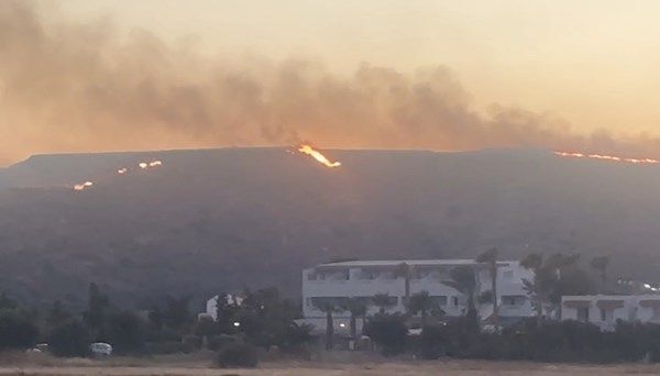 اليونان تكافح حرائق الغابات لليوم الثاني