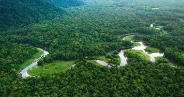 تكنولوجيا: منطقة الأمازون البرازيلية تشهد أسوأ 6 أشهر من حرائق الغابات منذ 20 عامًا