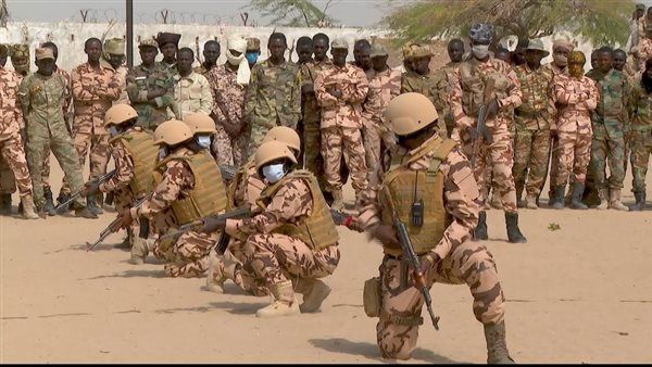 جيش تشاد يعلن تصفية 70 إرهابيا ينتمون لجماعة "بوكو حرام"