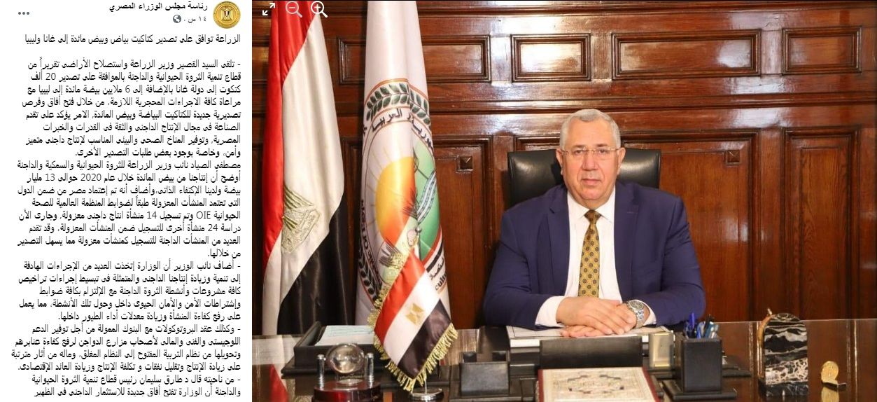 سعر الكتكوت الأبيض اليوم الثلاثاء 2 يوليو 2024 في مخلتف الشركات