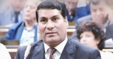 برلمانى: شراكة الدولة مع القطاع الخاص توفر ملايين فرص العمل