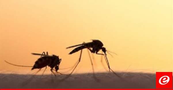 الصحة الإسرائيلية: وفاة 11 إسرائيليا وإصابة 153 آخرين بحمى غرب النيل