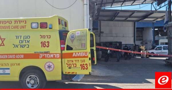 قائد المنطقة الشمالية بالشرطة الإسرائيلية: منفذ عملية الكرمئيل وصل إلى المجمع سيرا ورفعنا حالة التأهب