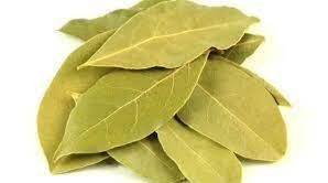 عيش الشباب في ازهى صورة .. ورق الغار تناولها بهذا الشكل وستعود إلى سن ال20 حتى لو كنت 70 سنة..معجزة ربانية